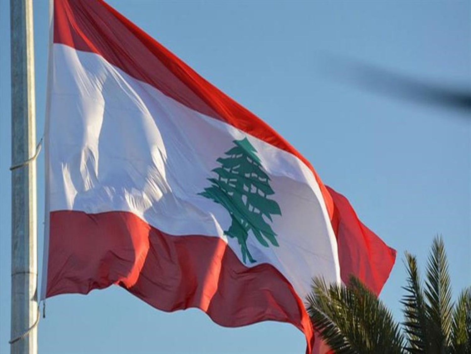 فيديو فضيحة خضر رسلان الناشط اللبناني