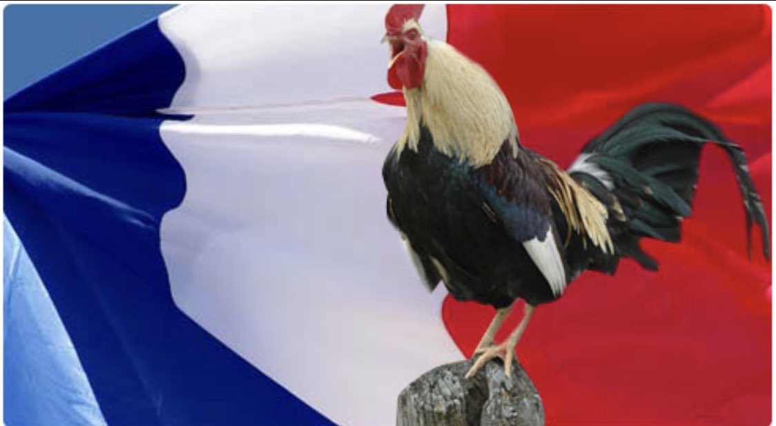لماذا الديك شعار فرنسا