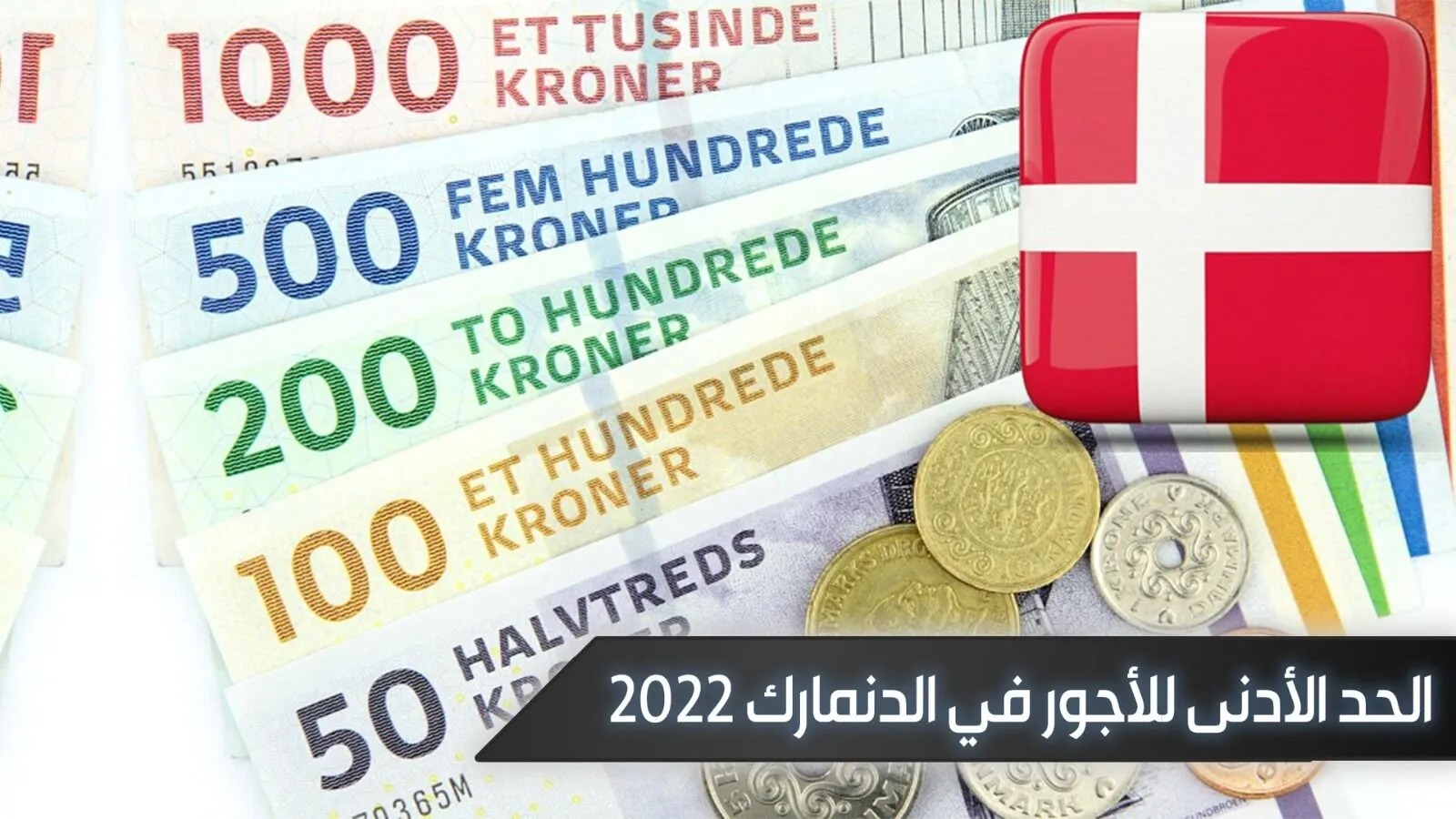 كم يبلغ راتب اللاجئ في الدنمارك